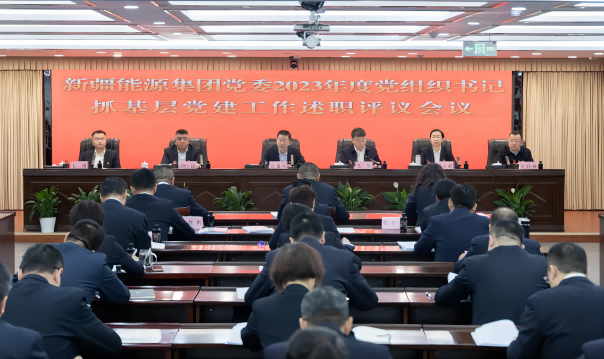 [图文]新疆能源集团党委召开2023年度党组织书记抓基层党建